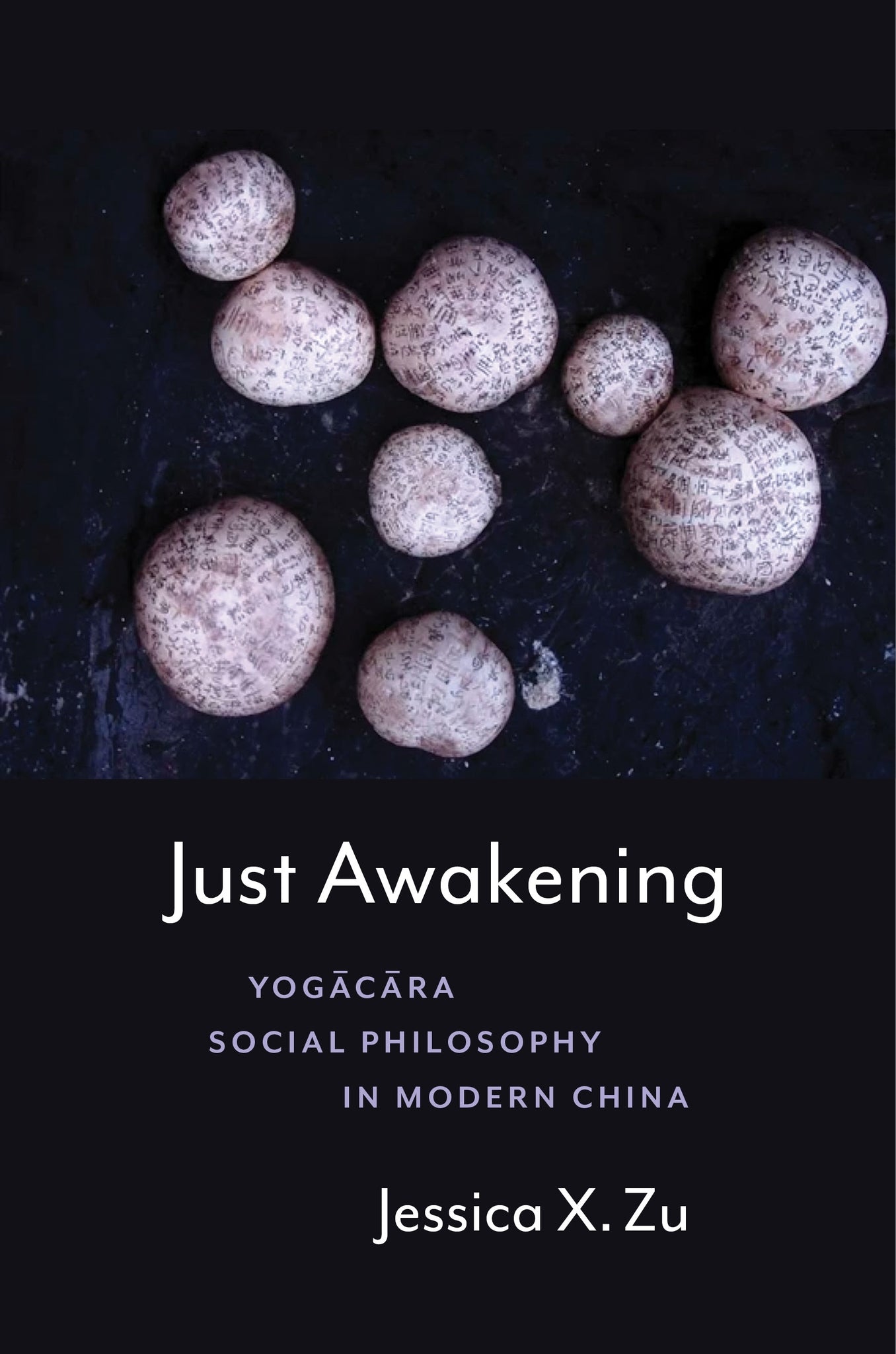 Cover image for Just Awakening ISBN 9780231216043